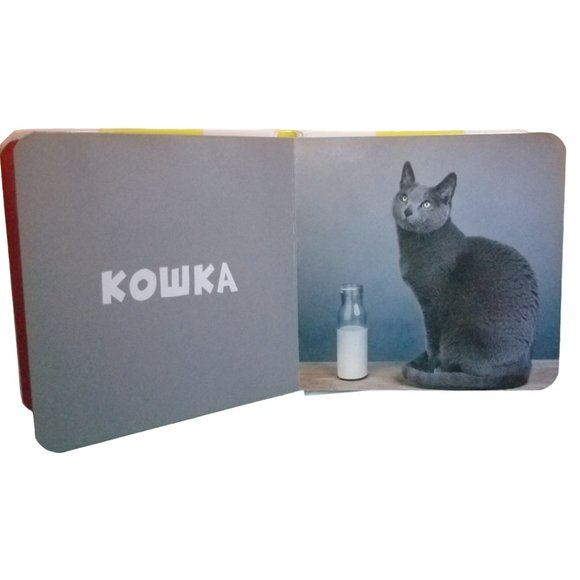 Children's Book | 10 Animals | Zhivotnye | Foto-kniga | Russian Edition - Picture 9 of 16